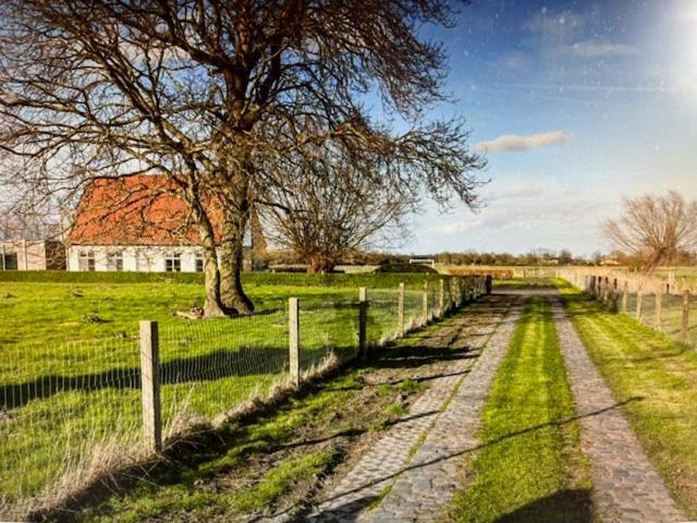 Schravenhoek Met Indoorzwembad En Sauna Veurne Esterno foto